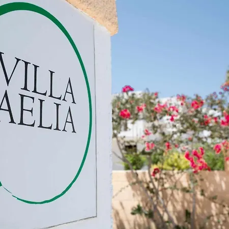 Ferienhaus Aelia Kefalos-private & Spacious With Pool *