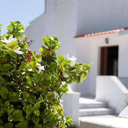 Aelia Kefalos-private & Spacious With Pool * Kámpos