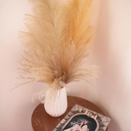 Ferienhaus Aelia Kefalos-private & Spacious With Pool Kámpos