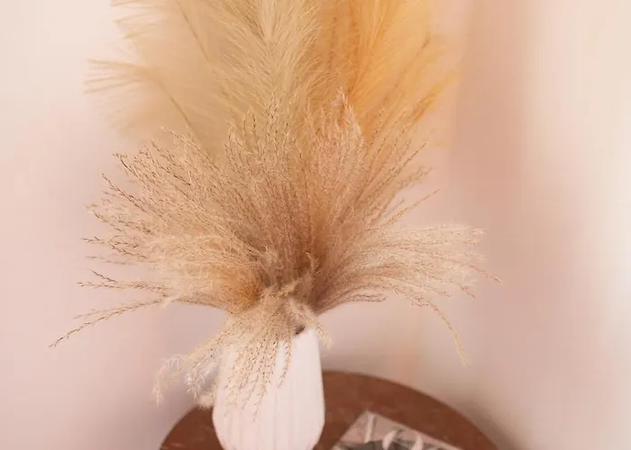 Vakantiehuis Aelia Kefalos-private & Spacious With Pool Kámpos