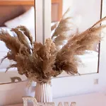 Aelia Kefalos-private & Spacious With Pool Holiday home